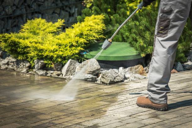 Best Pool Deck Cleaning  in Runge, TX