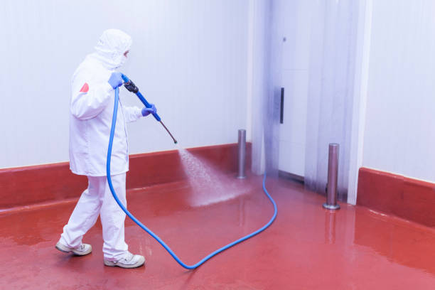Trusted Runge, TX  Pressure Washing Services Experts